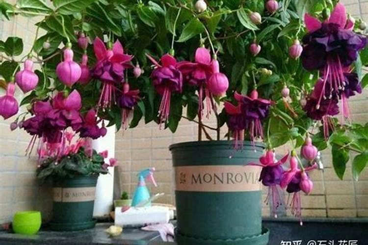 矿源黄腐酸钾哪个厂家的品牌好