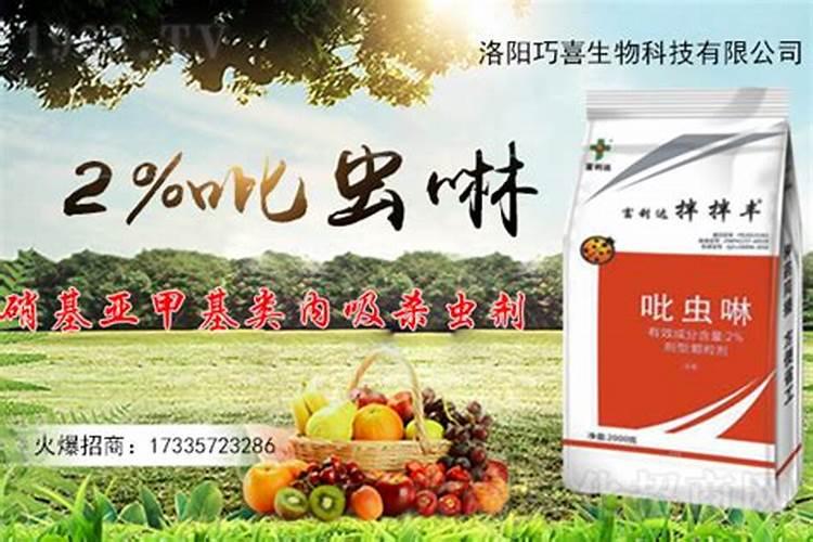 ...山东大型食品批发市场有哪些 山东食品批发在哪里