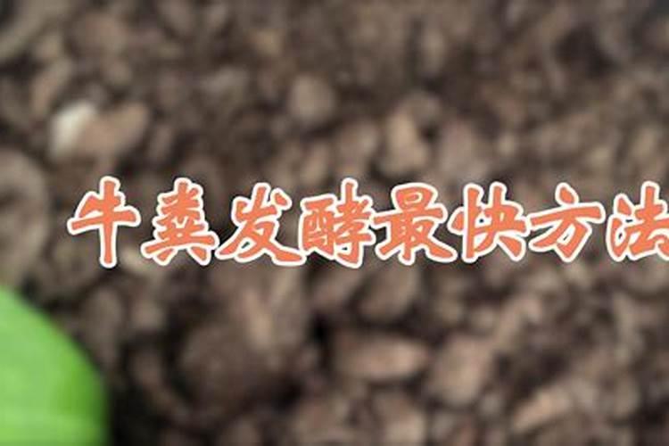 枯树叶怎样发酵成肥料