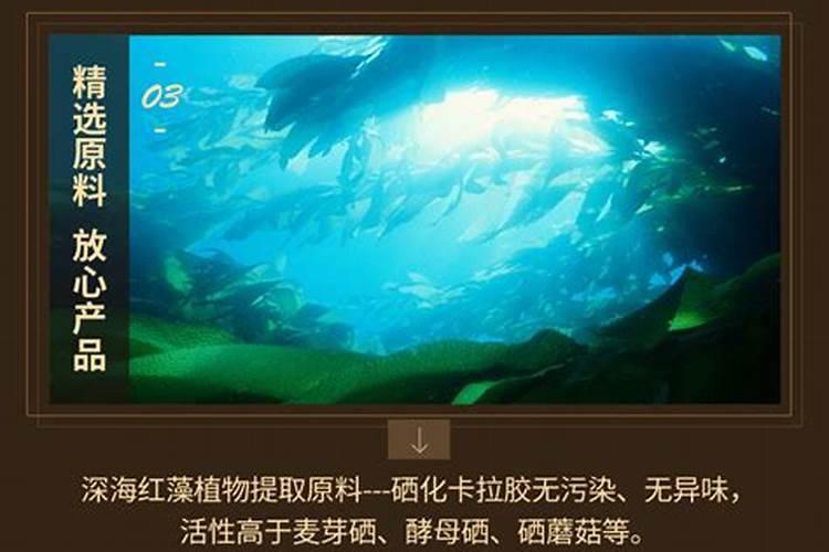 沼气液怎么利用