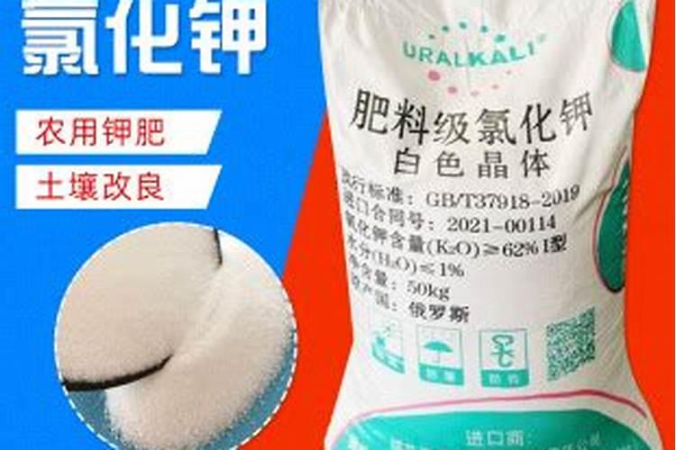 草莓结果期施什么肥？草莓早熟高产栽培技术!