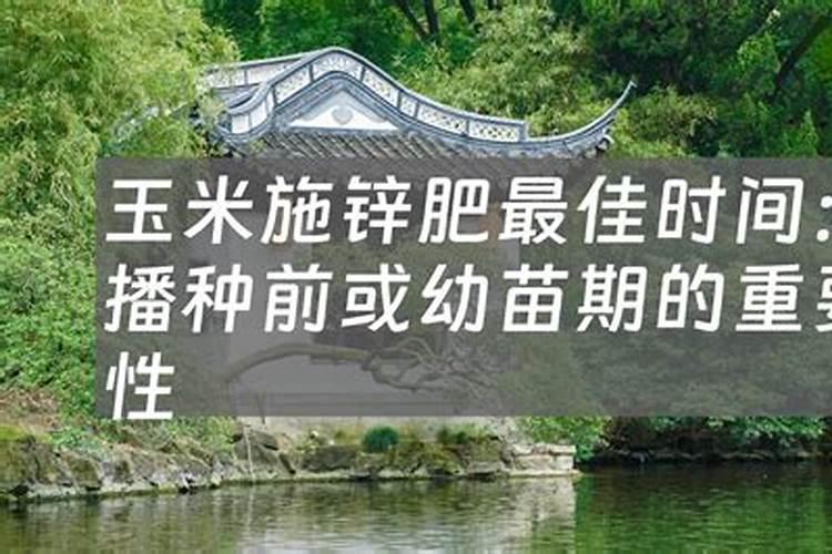 国内氨基酸水溶肥生产厂家有哪些？