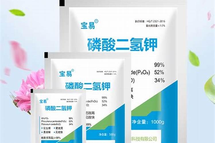 全球最大钾肥厂