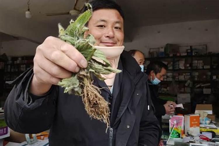 复合肥烧苗了,怎么办？