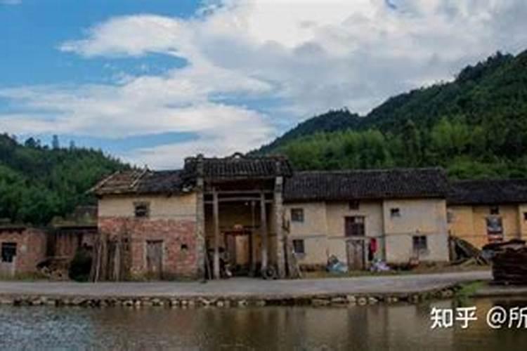 葡萄树怎样施肥