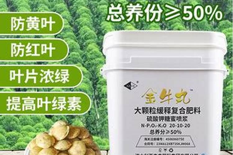 花椒树施什么肥