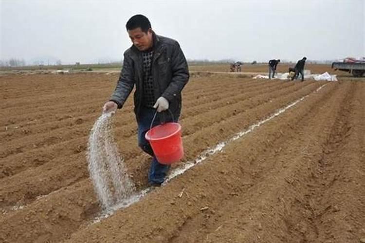 铵态氮肥避免与碱性物质混合使用,原因是？