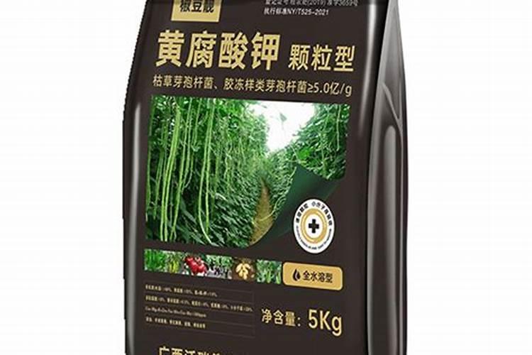 西瓜喜钾还是钾肥