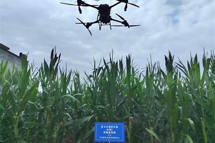 以氮为主的肥料都有哪些