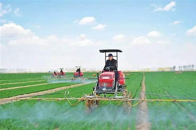 牛马春耕农家地最佳数字