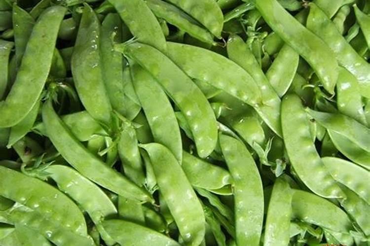 大豆叶面肥用什么好？增产怎么用更高效