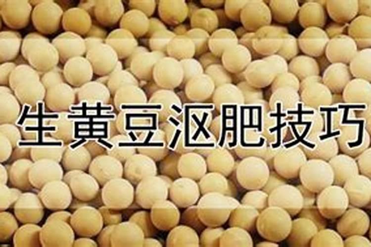 长寿花用什么肥料最好