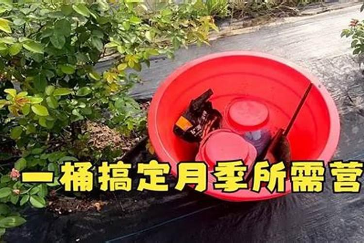 秋季如何为花木进行施肥？