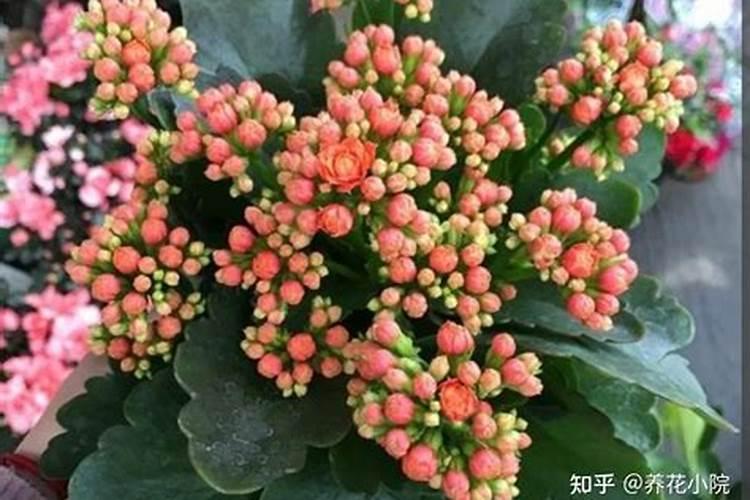 氮肥和钾肥的区别