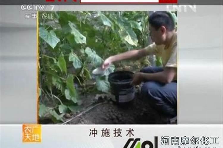 水溶肥用法和用量