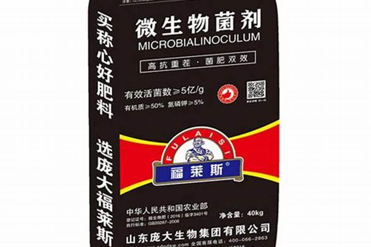 新手如何养文竹