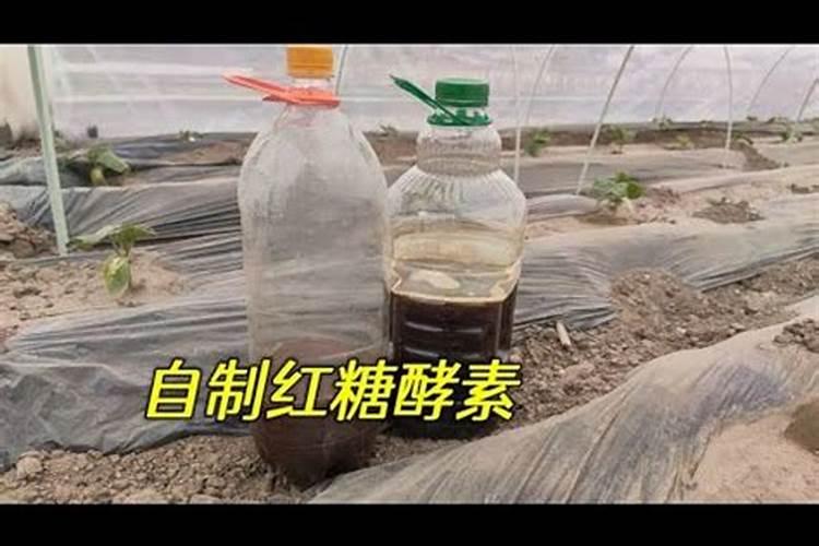 西红柿受水灾喷洒芸苔素可以缓解吗？