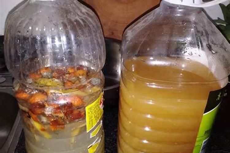 使用控施肥后还需要使用营养液吗