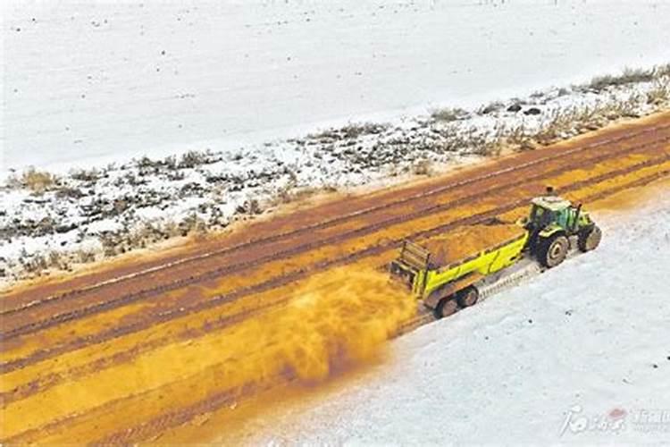 什么天气给菜施肥,今天晴,后几天说连续下雨,今天可以施肥吗？