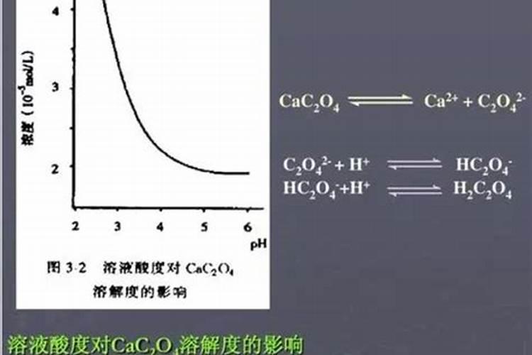 发财树冬天要不要浇水