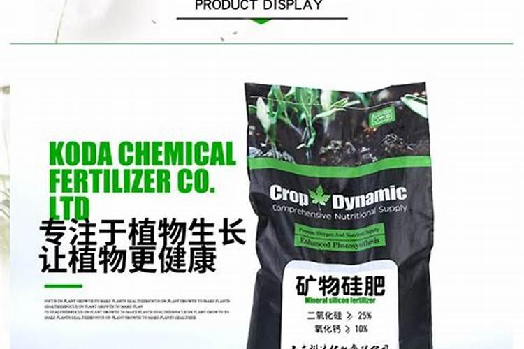 硅肥是第四大元素肥吗