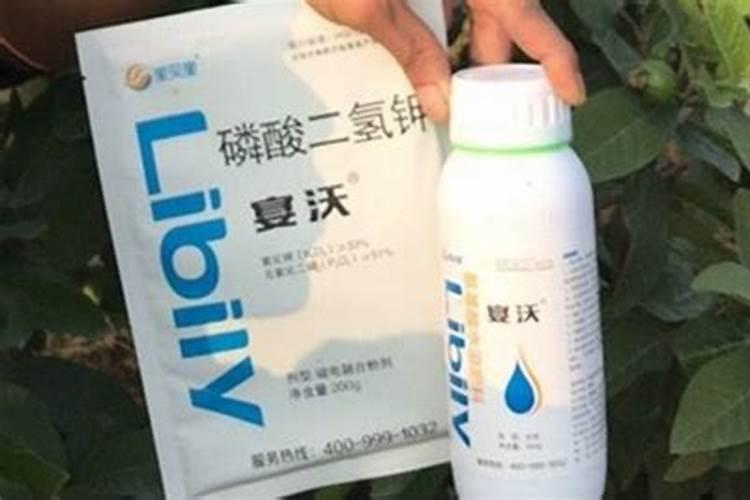 1斤尿素兑水多少斤 把尿素当叶面肥喷施使用如何配制