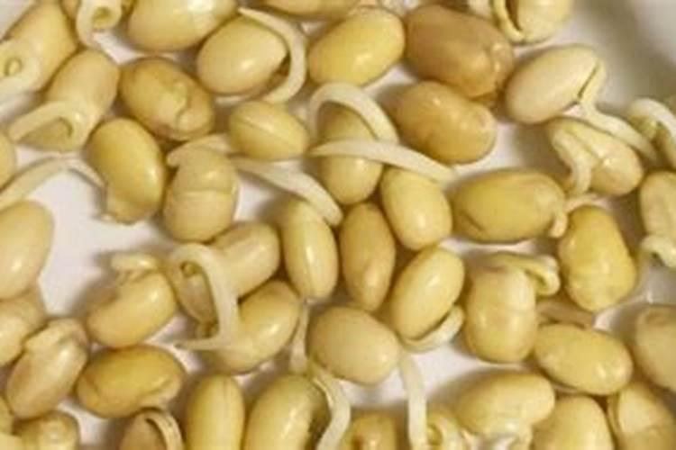 肥料腐熟什么意思
