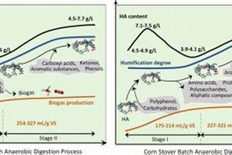家养桔子树施什么肥料,腐熟的有机肥配叶面肥
