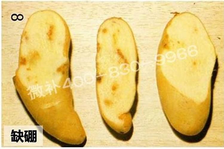 百香果施什么肥料最好