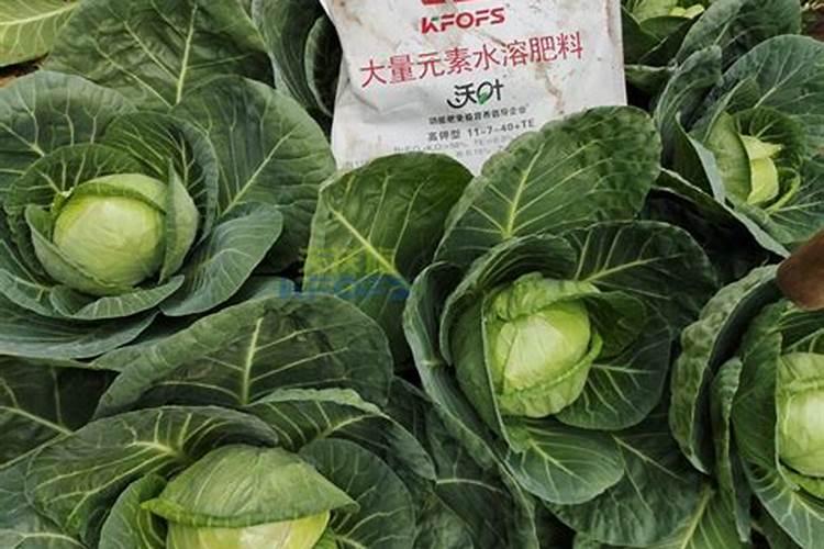 怎样识别磷酸二氢钾真假？磷酸二氢钾真假鉴别的标准有几个？