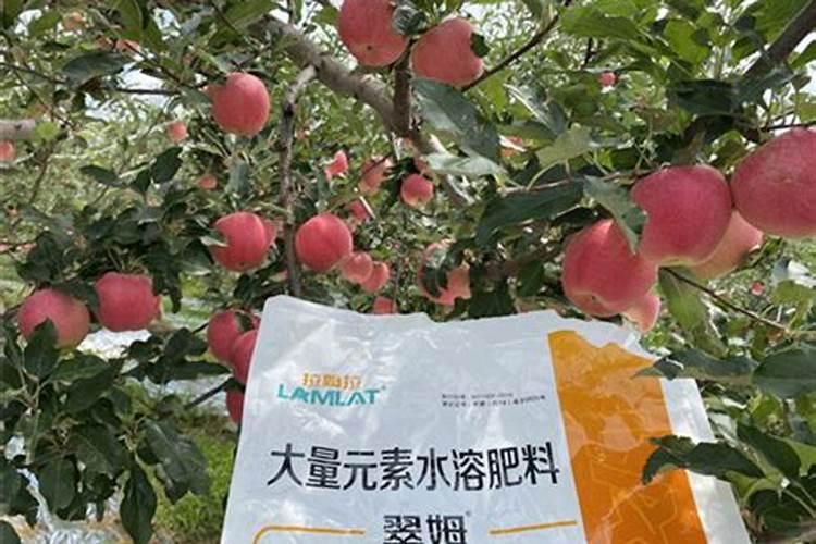 水溶肥粉剂好还是液体的好