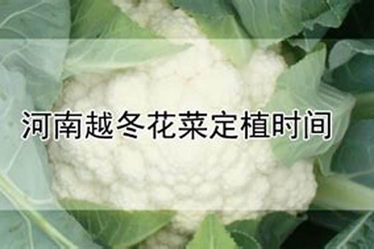 肥料包装含有外国名称吗