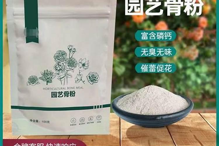 果树花芽分化的基本条件是什么？如何促进花芽分化