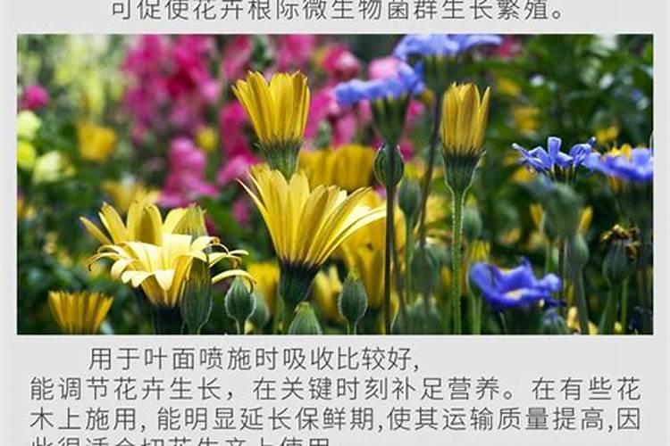 二铵肥料十大名牌排名