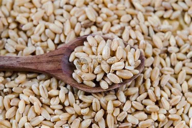 矾肥水如何使用