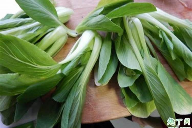 油菜早薹早花怎么办 油菜病害防治方法