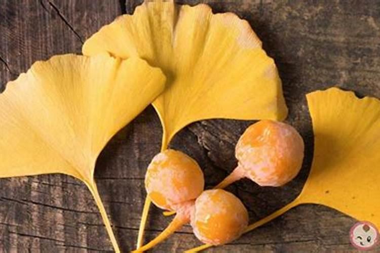 银杏叶沤肥是酸还是碱