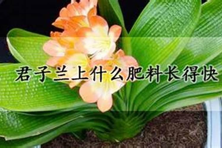 硫酸镁可以用于农作物吗