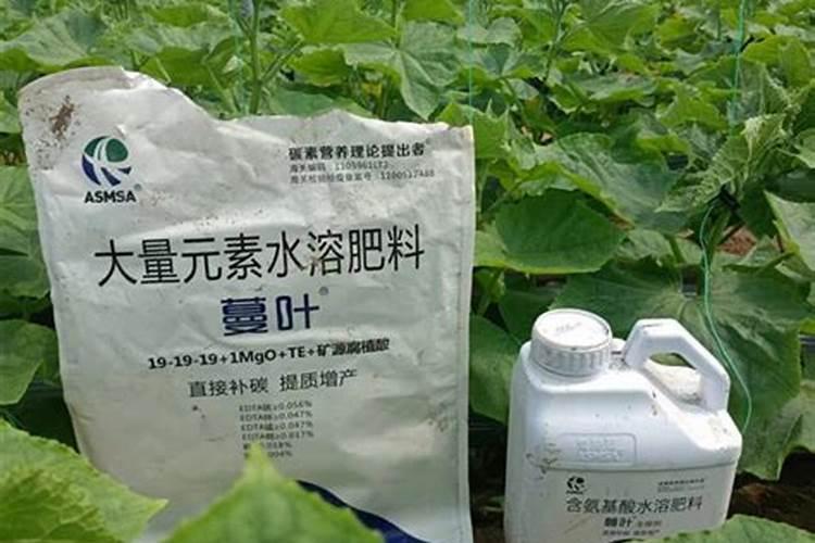 钾肥施用要注意什么