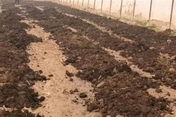 粪尿还田利器 沼液施肥机 液态施肥罐车,实现农业机械化