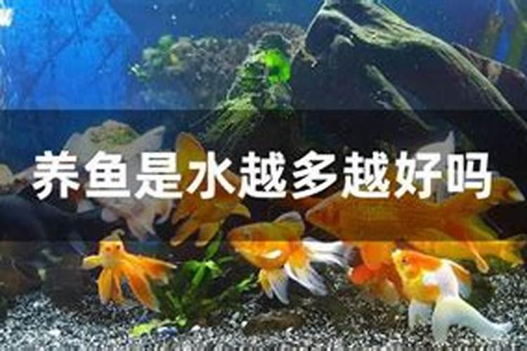 长寿花施肥方法 要注意什么