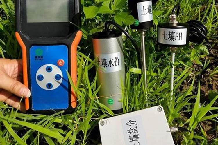 梨树追肥注意什么