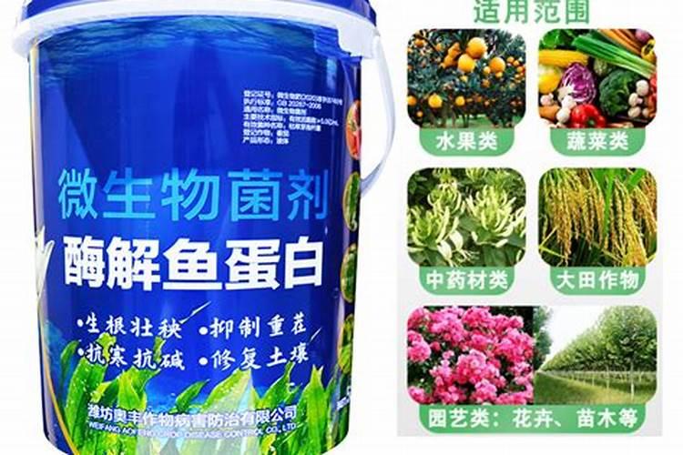 桃树补钙用什么好钙肥