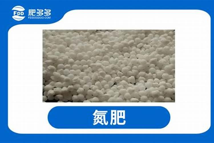 膨果用氮肥还是钾肥