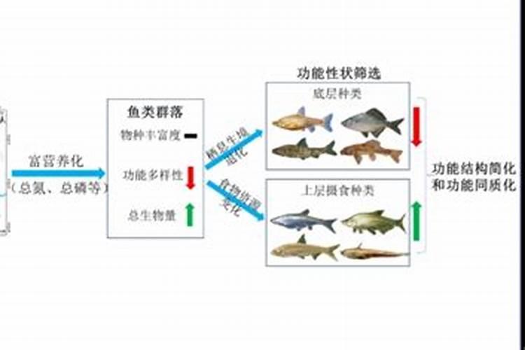 春雷王铜可以与杀虫剂混用吗？