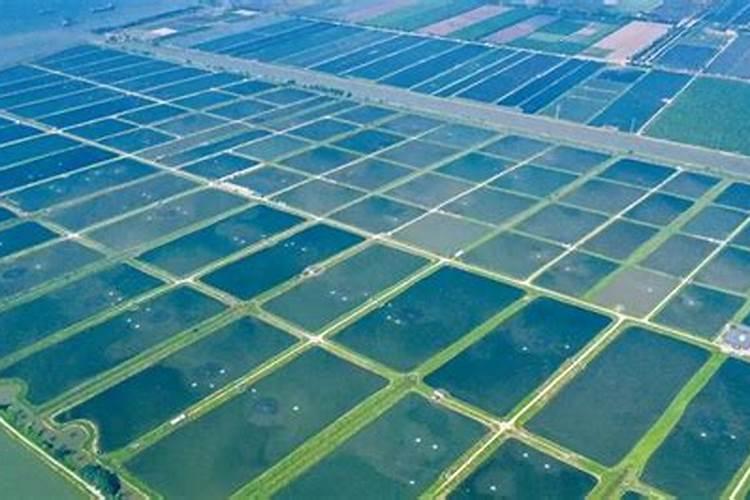 磷肥一亩地施多少