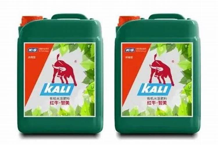 茶叶水可以浇月季花吗？