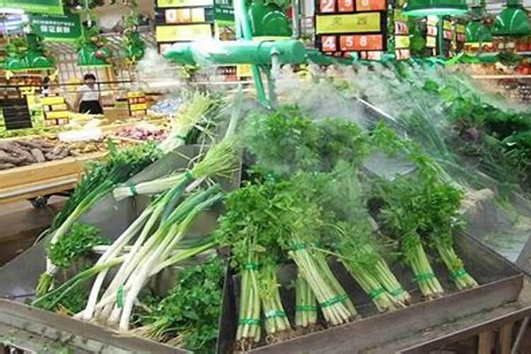 复硝酚钠可以和腐植酸水溶肥一起在玉米上用多少克