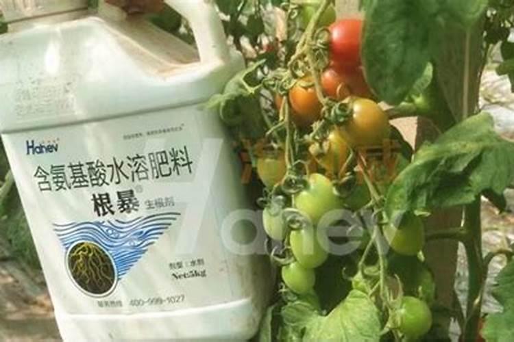 怎么选择一款好的水溶肥