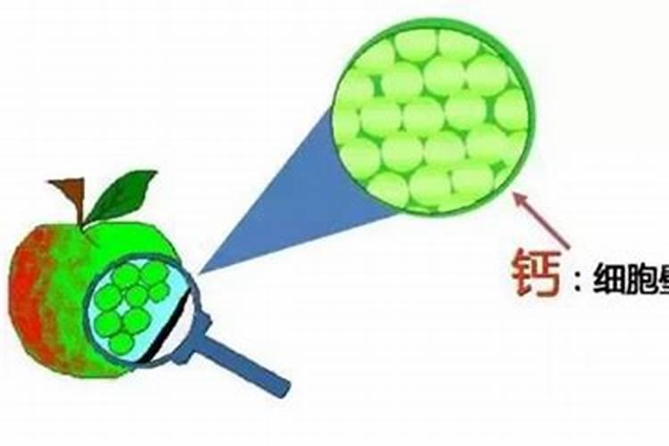 棉花硼肥什么时候打 如何正确使用